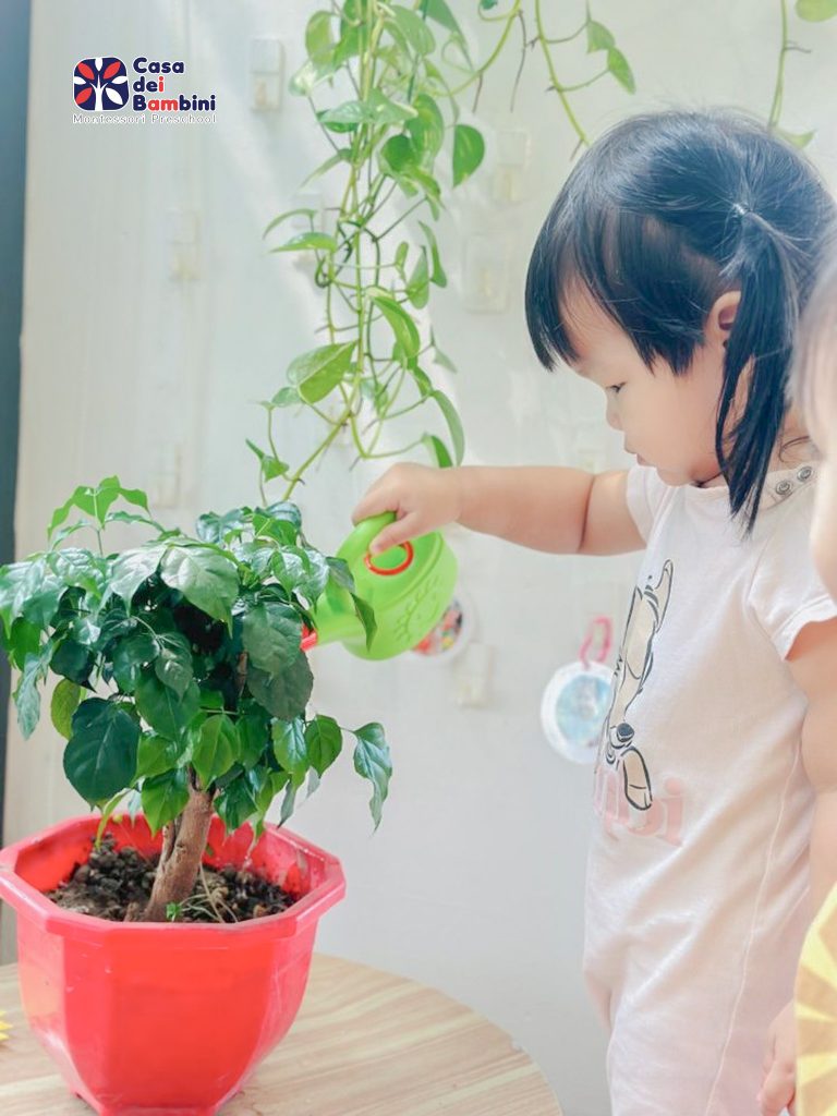 #51 BẬN RỘN TRONG GIỜ MONTESSORI CÙNG CÁC BẠN NHỎ CASA DEI BAMBINI