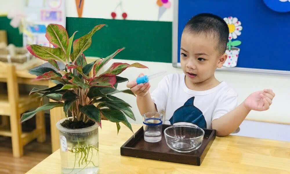 Thực hành cuộc sống