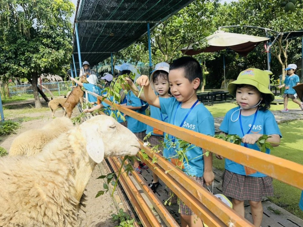 Trường mầm non Smiles Montessori 