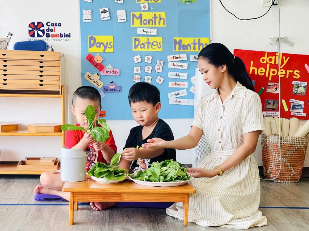 Phương pháp Montessori