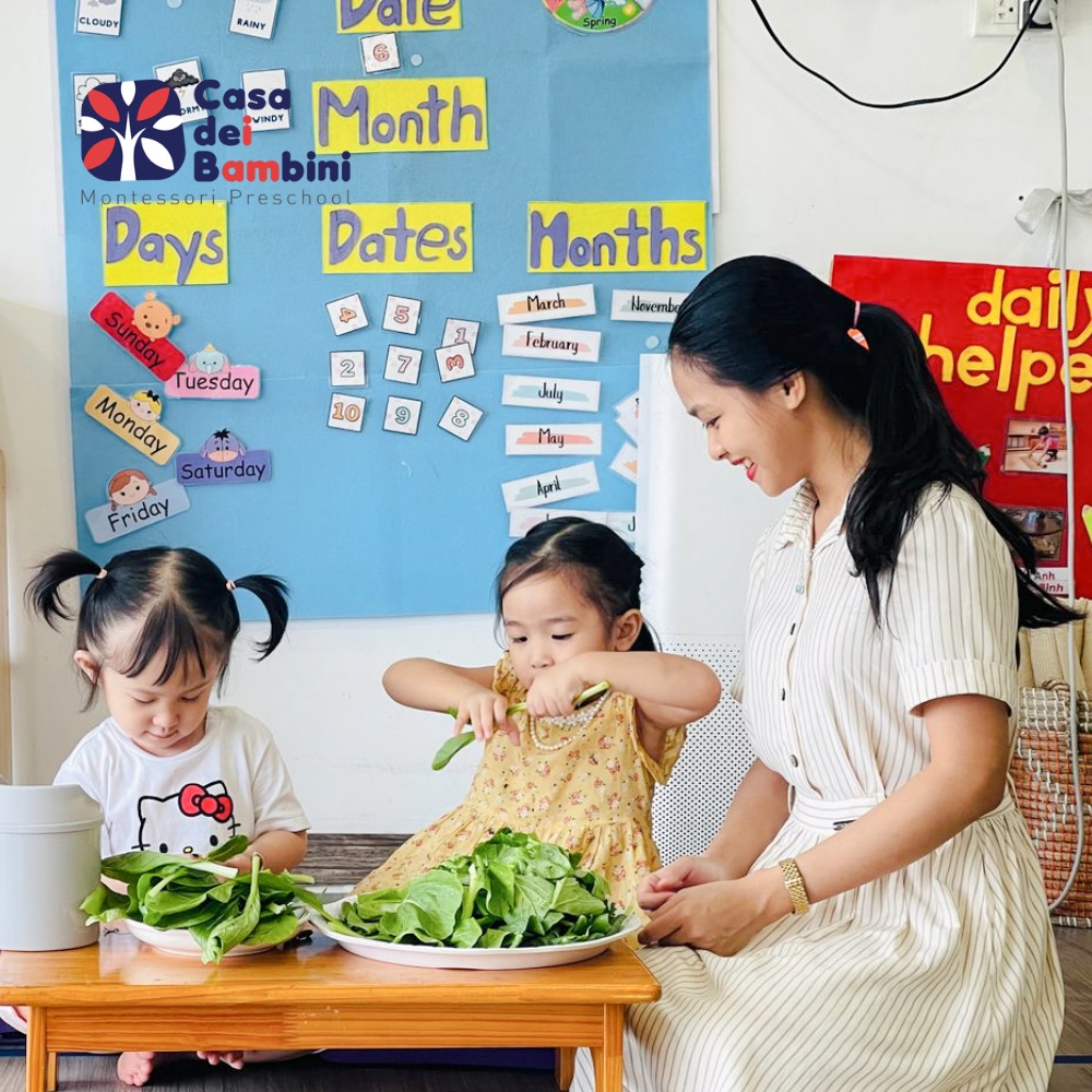 Giáo án Montessori cho trẻ 5 tuổi