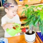 Giáo dục bảo vệ môi trường cho trẻ mầm non