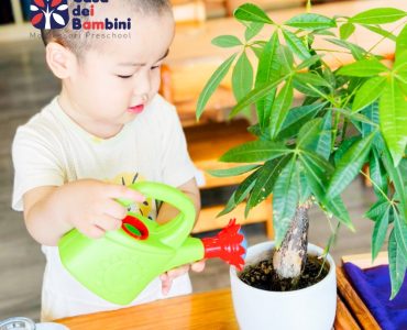 Giáo dục bảo vệ môi trường cho trẻ mầm non