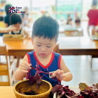 Quan điểm giáo dục lấy trẻ làm trung tâm
