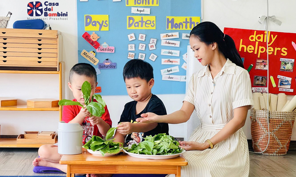 Phương pháp giáo dục Steiner và Montessori có giống nhau không?