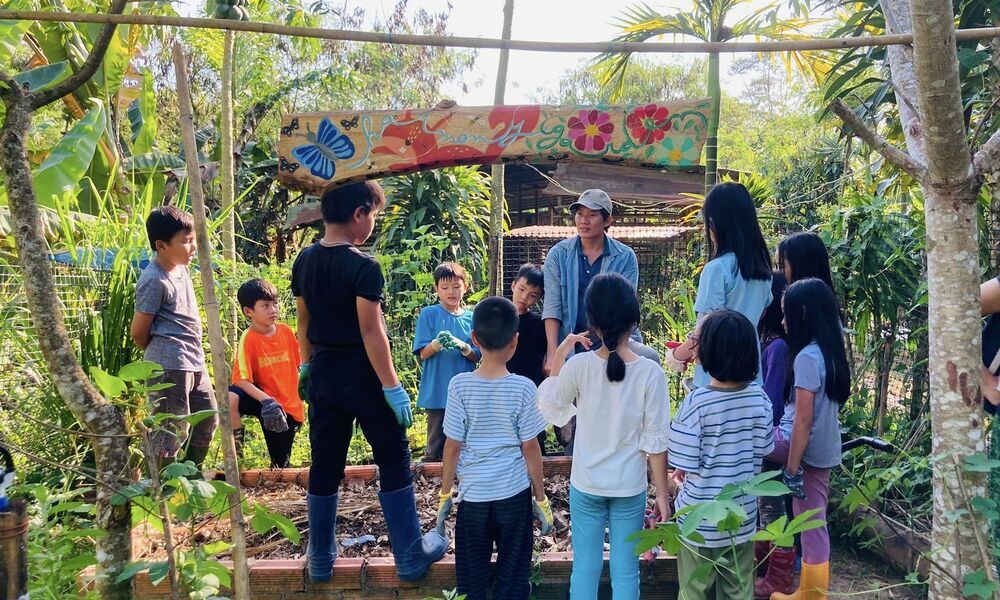 Trường học Steiner nào chất lượng?