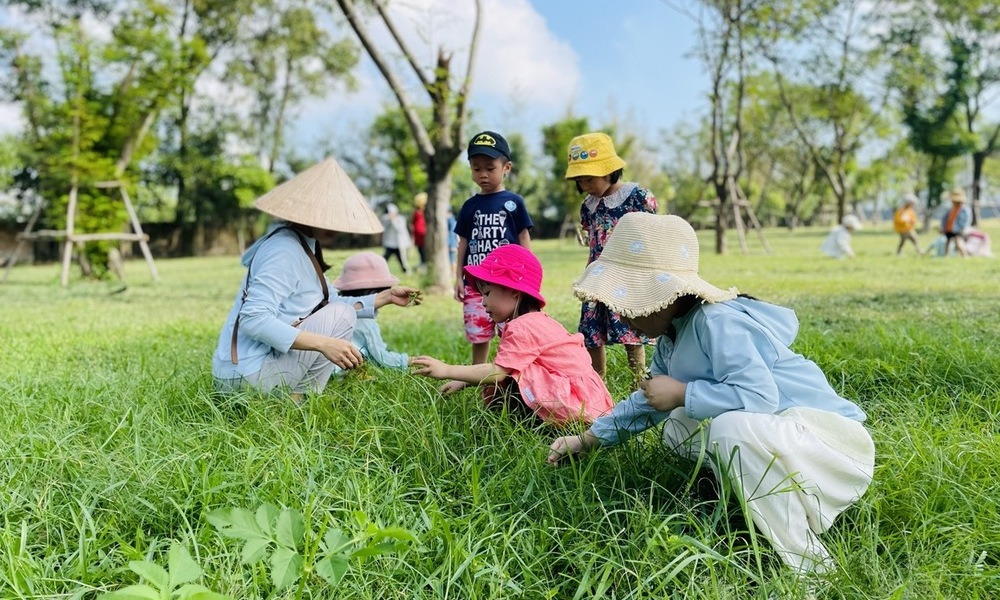 Trường mầm non Sunflower Steiner