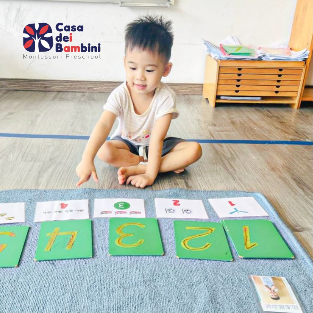 Phương pháp Glenn Doman: Bí quyết giáo dục sớm giúp trẻ phát triển toàn diện