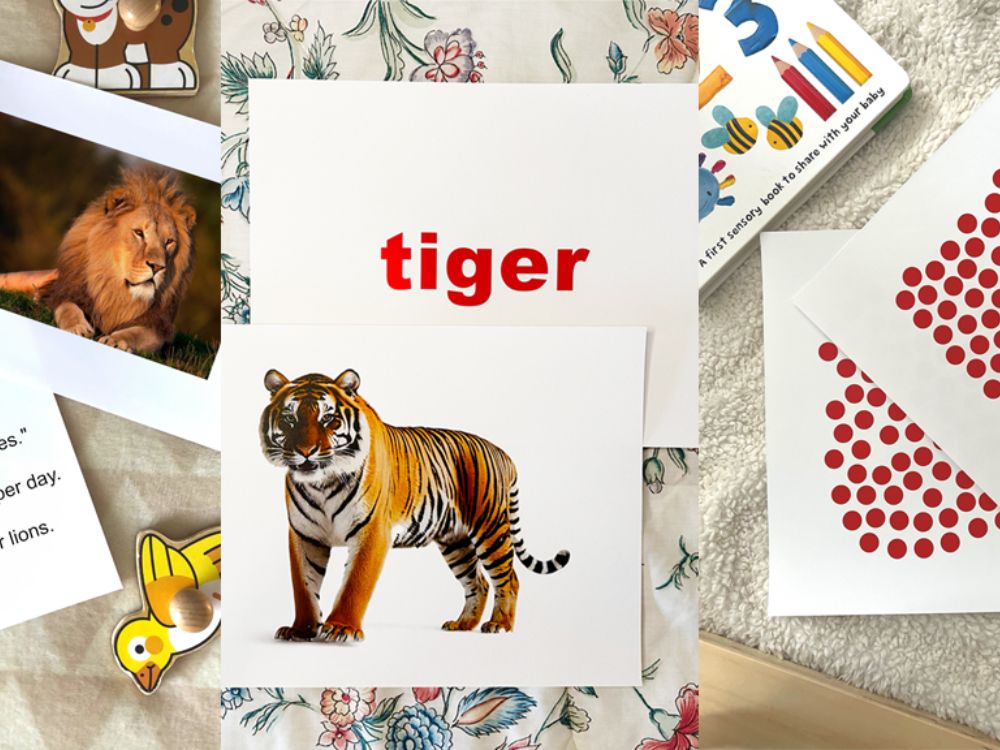 Phụ huynh cần chuẩn bị những gì để dạy con theo phương pháp Glenn Doman?