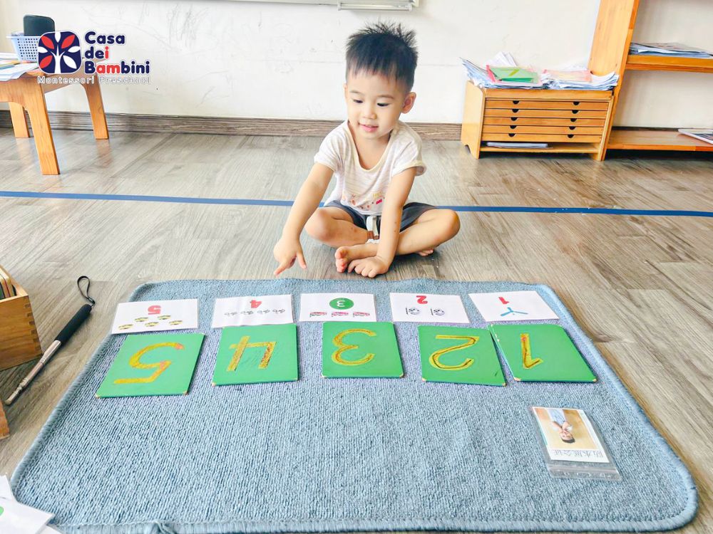 Có cần mua bộ thẻ Glenn Doman chính hãng không?