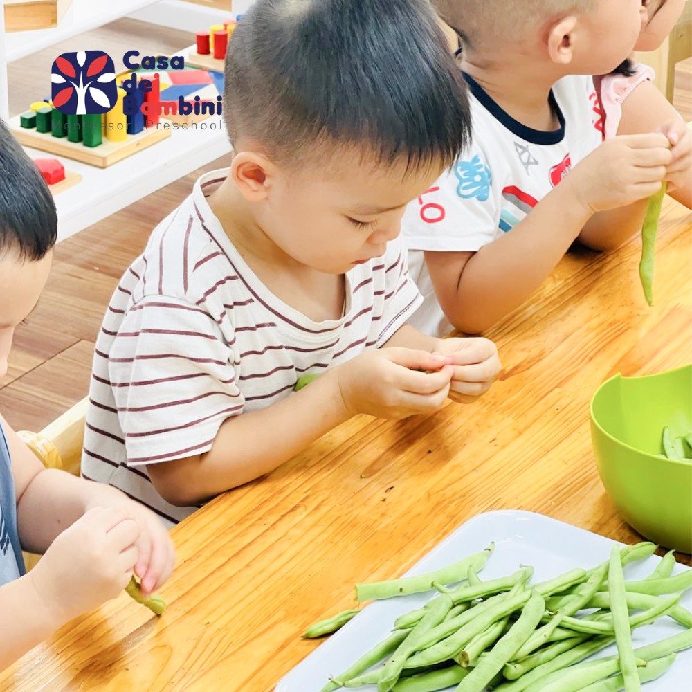 Sự khác nhau giữa phương pháp giáo dục STEAM và truyền thống