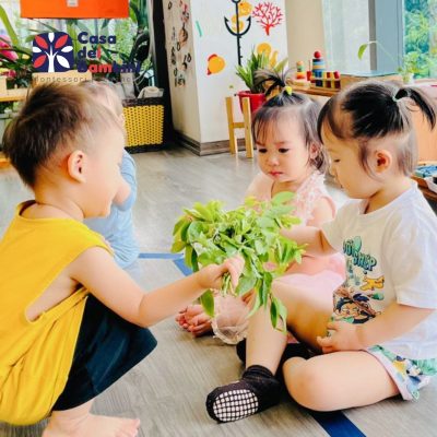 project based learning