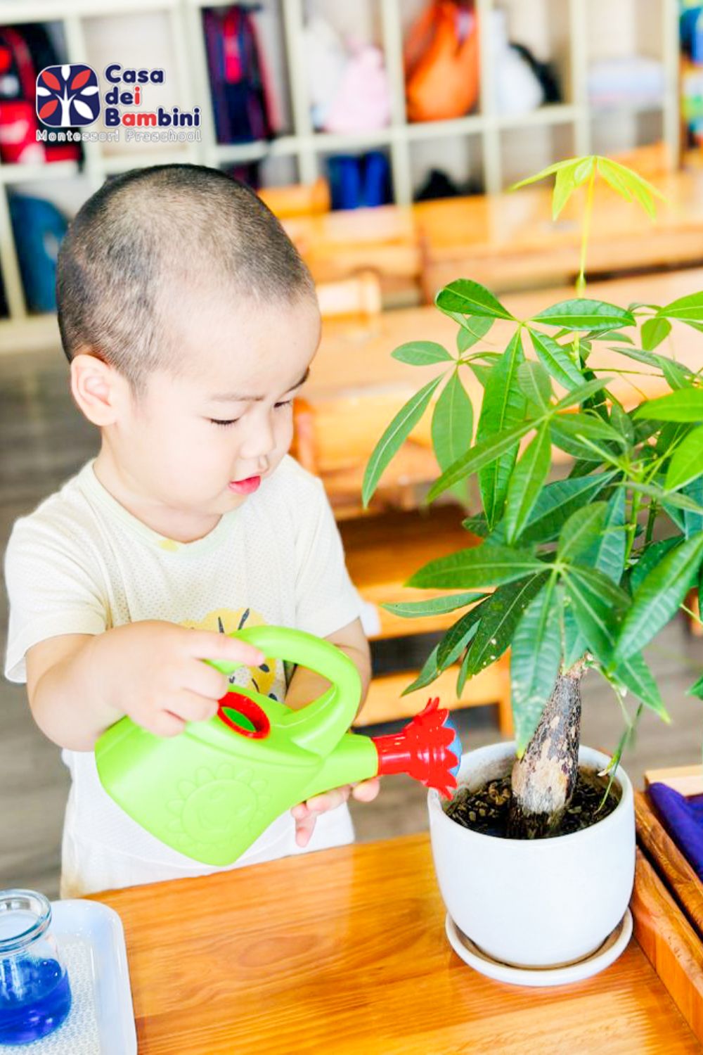 Tạo một vườn cây nhỏ để trẻ trồng cây