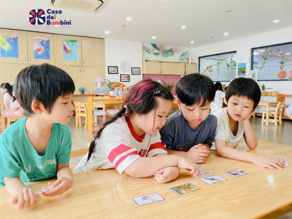 mam non tieng anh la gi 3.5 Kindergarten