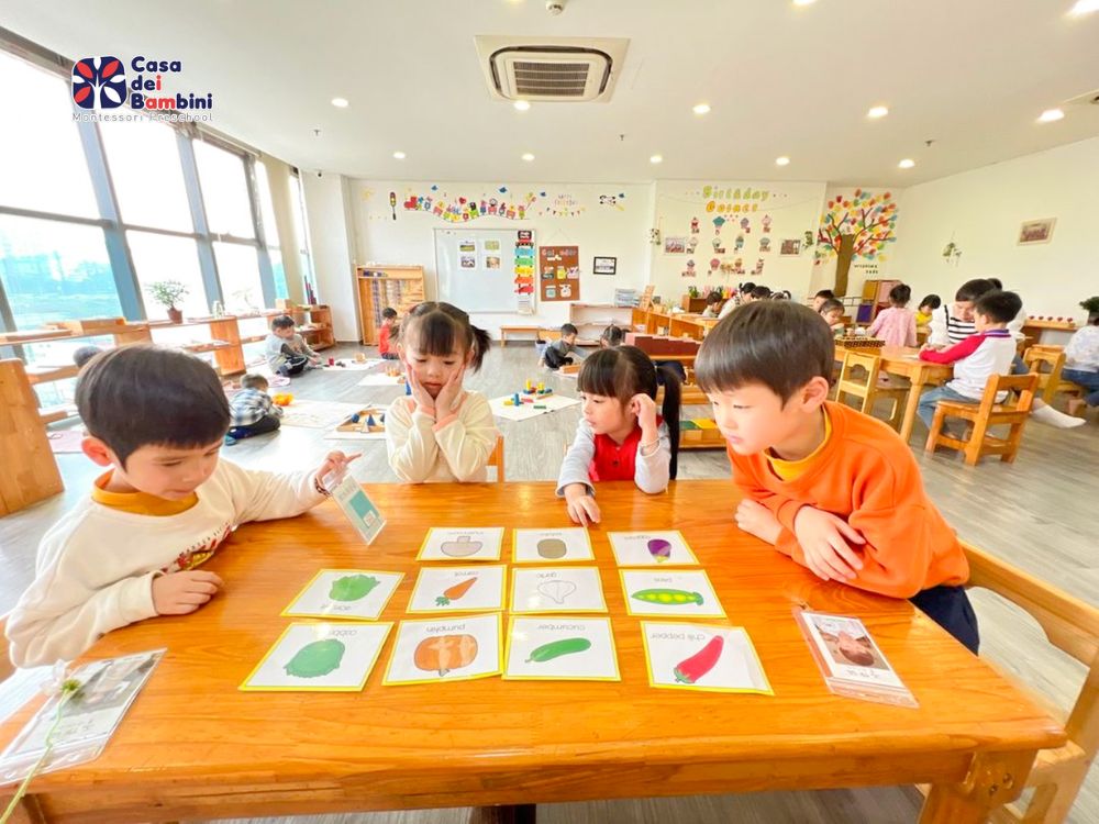 mam non tieng anh la gi 4 Một số từ vựng tiếng Anh về các loại trường học