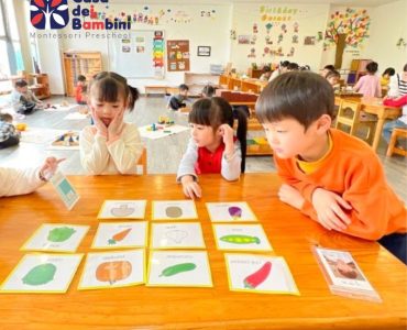 mầm non tiếng anh là gì