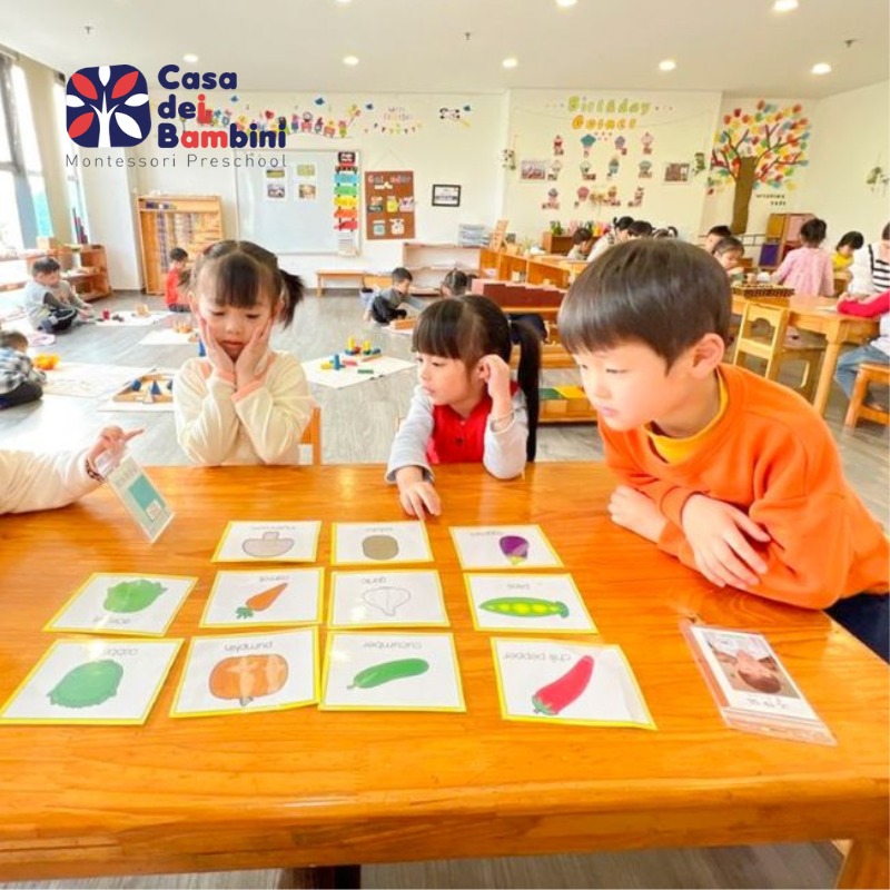 Trường mầm non tiếng Anh là gì và các từ vựng liên quan