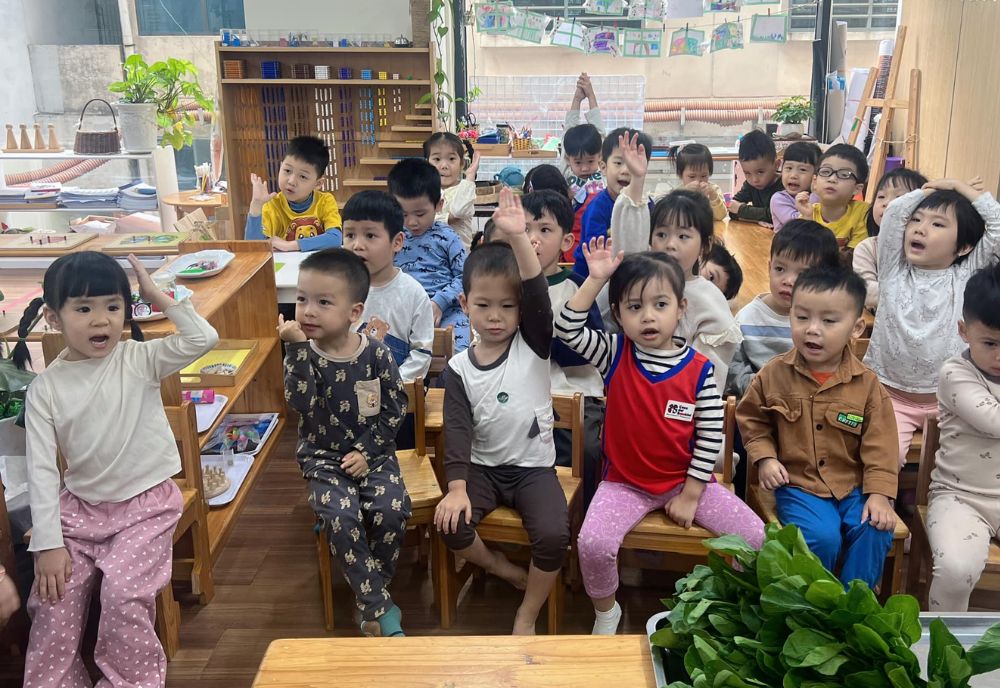 Trường dân lập là gì