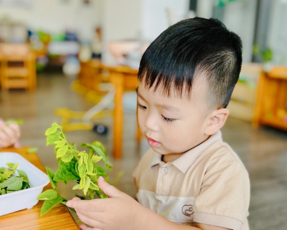 Bé thực hành lặt rau  