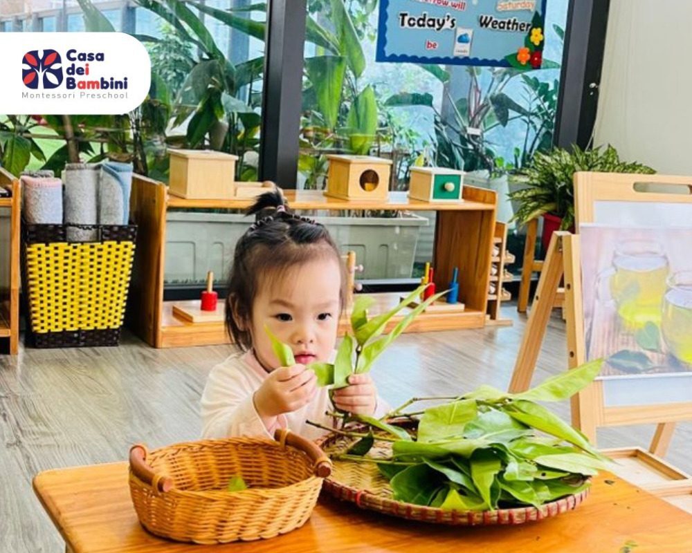 Bé thực hành nhặt lá