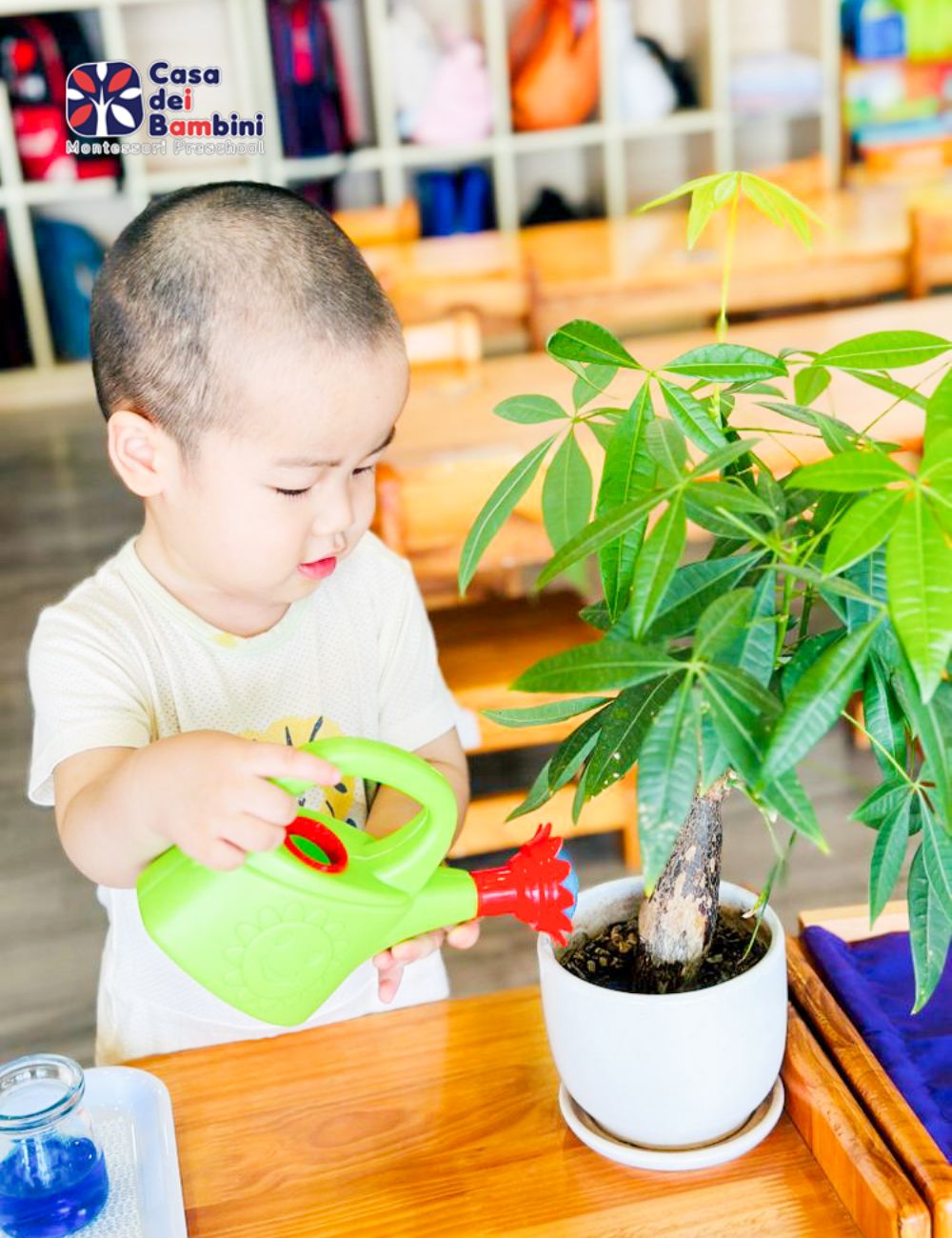 Giáo cụ chăm sóc môi trường