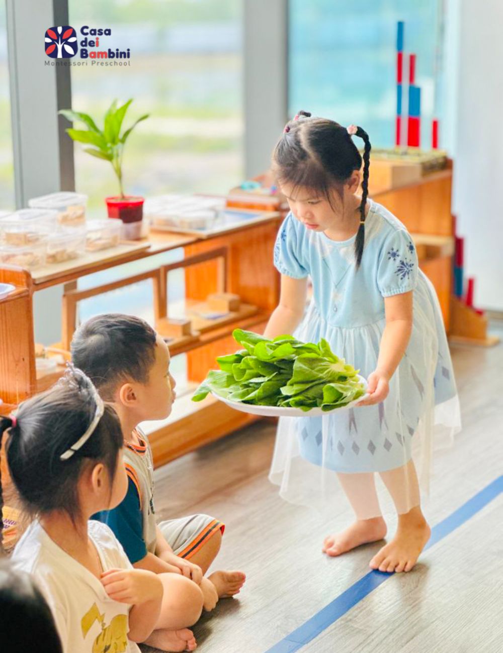 Giáo cụ phép lịch sự và kỹ năng xã hội