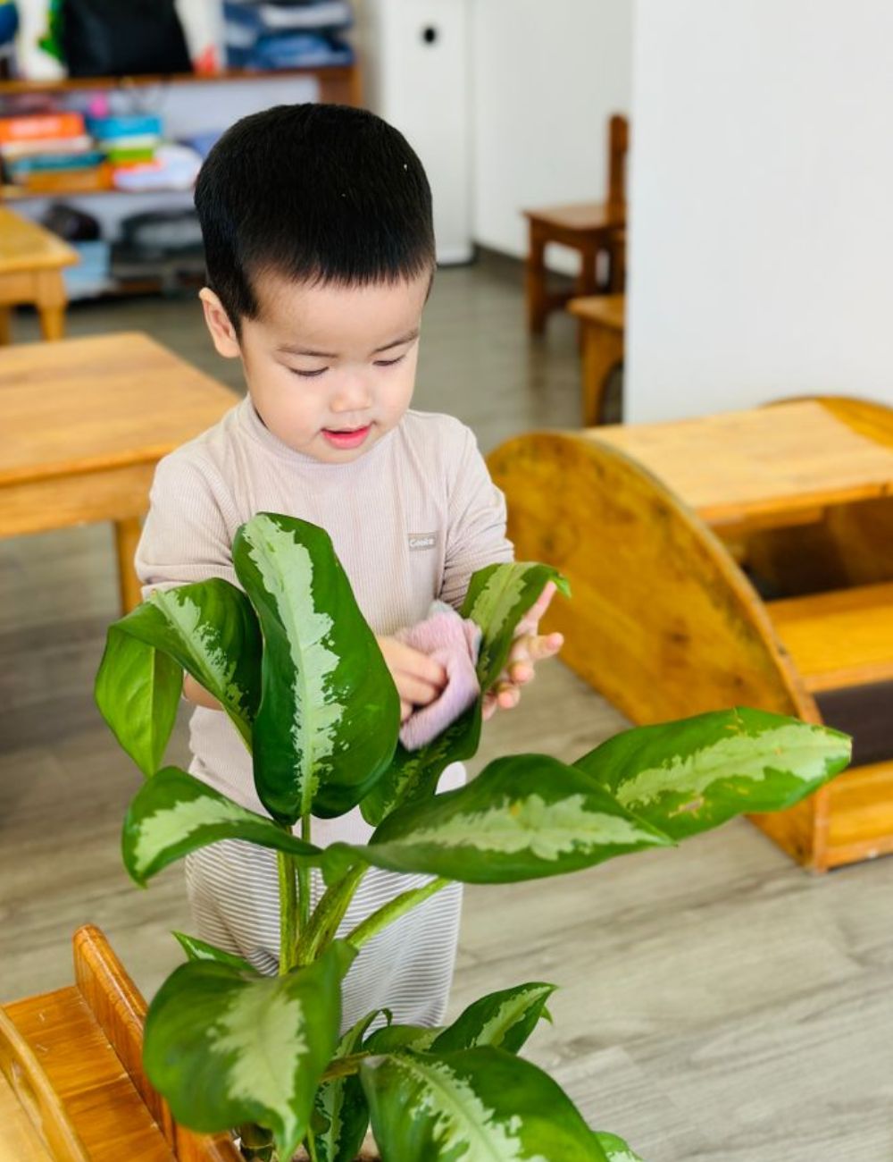 Giáo cụ thực hành cuộc sống cho trẻ 0-3 tuổi