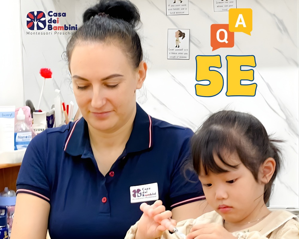 Quy trình 5E có những giai đoạn gì?
