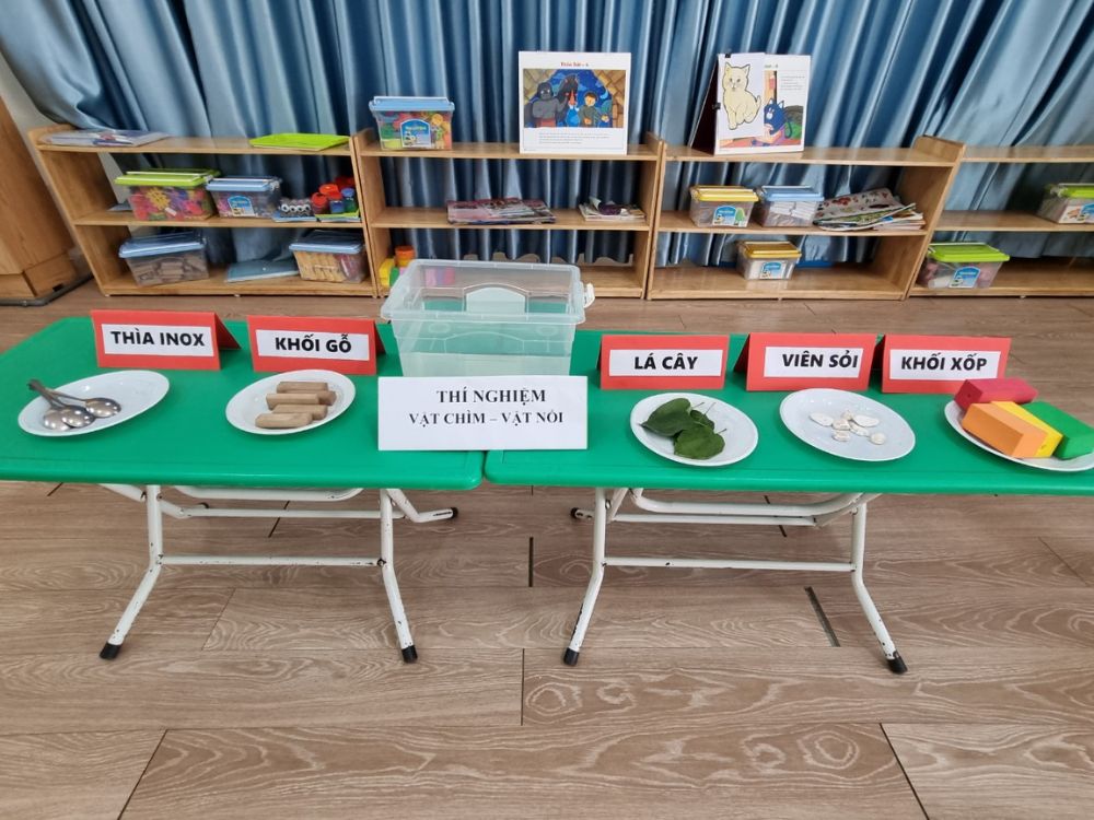 Thí nghiệm cho trẻ mầm non vui nhộn: Chìm hay nổi