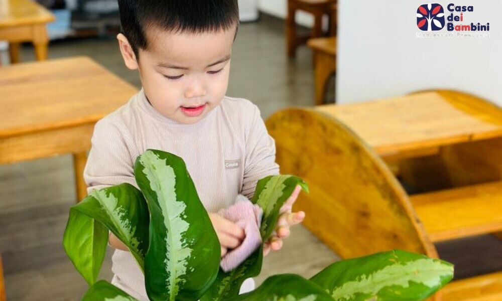 Trẻ chăm sóc cây trong lớp học