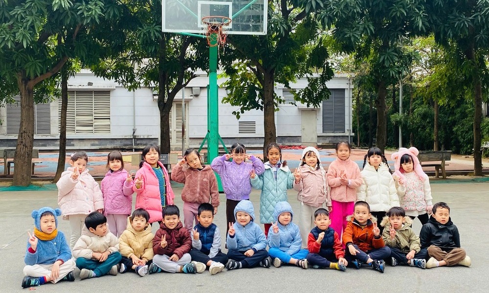 Chứng chỉ Montessori được cấp bởi đơn vị nào?