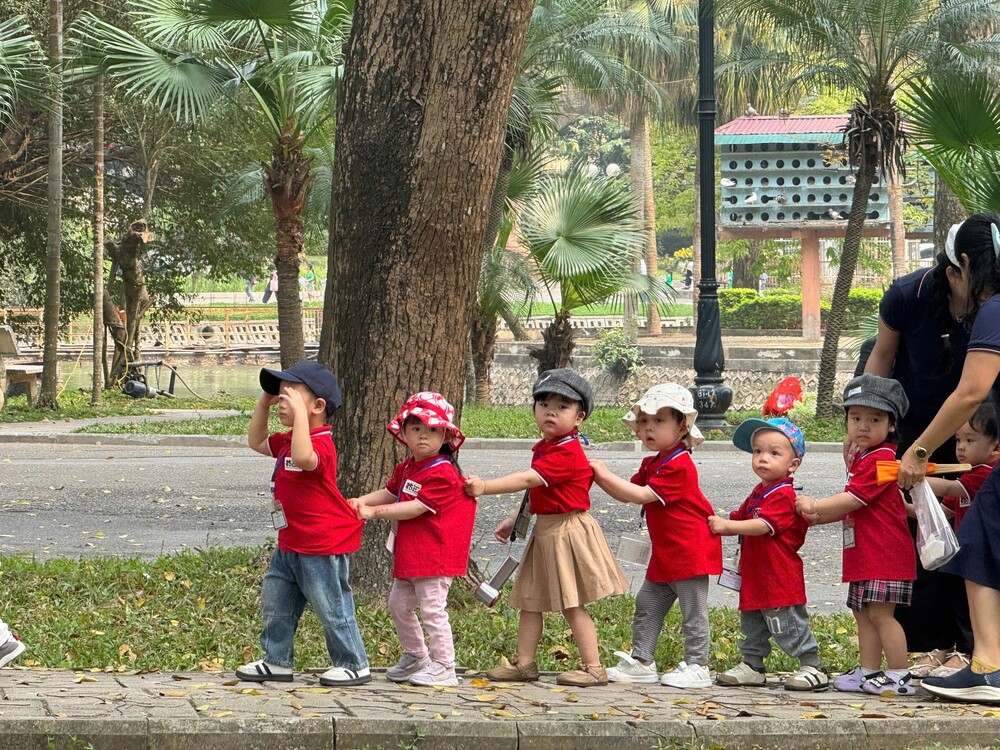 Phương pháp phát triển giác quan thị giác cho trẻ